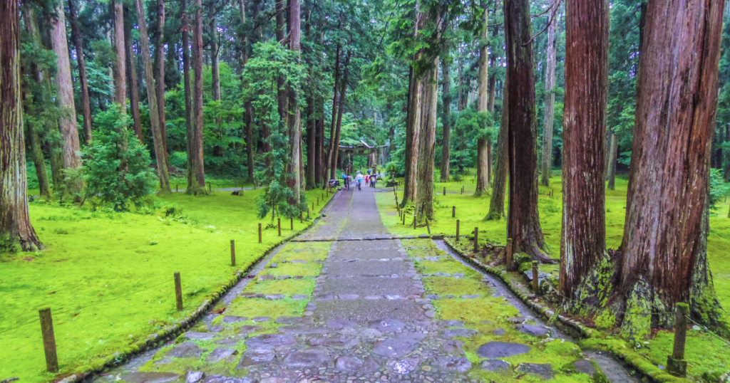 平泉寺白山神社
